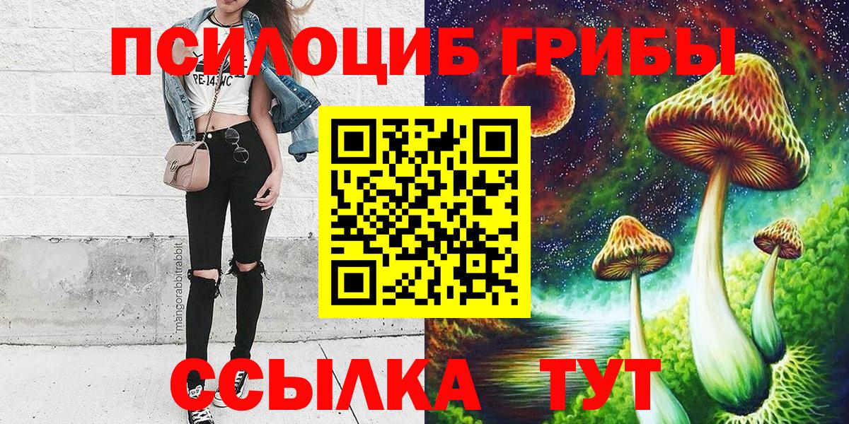 Псилоцибиновые грибы Psilocybe  Вход с VPN  Арзамас 